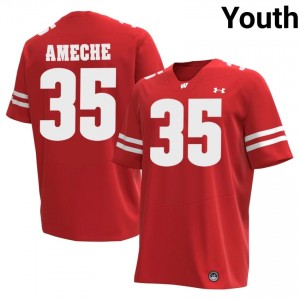 Alan Ameche #35 Badgers Jersey | Elite Thread Red College Football Youth Embroidery 17901585